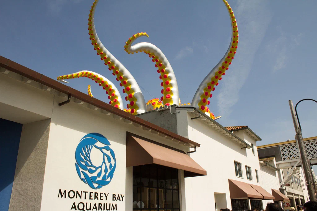 Colorful octopus sculpture with tentacles extending above the Monterey Bay Aquarium building.