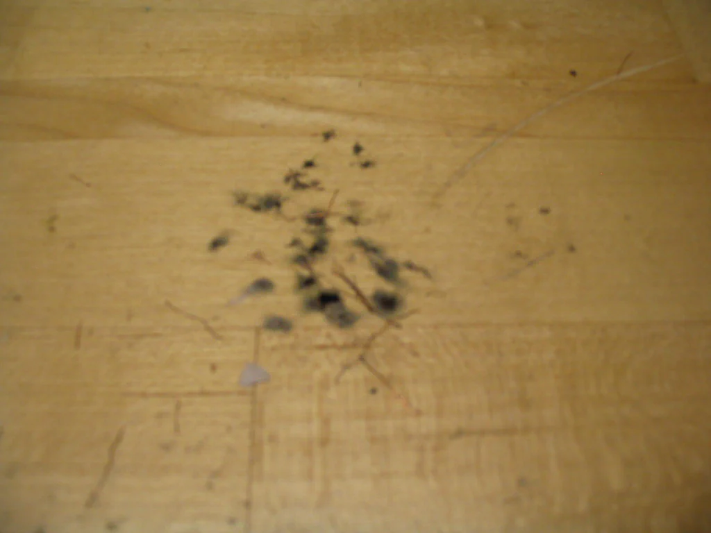The image shows a wooden surface with small black soot marks and sparks, indicating a high-voltage device sparking.
