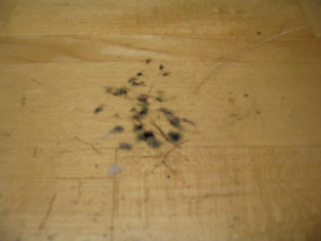 The image shows a wooden surface with small black soot marks and sparks, indicating a high-voltage device sparking.