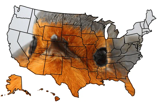 Map of the United States with regions shaded in orange, black, and gray, indicating varying levels of wildfire activity.