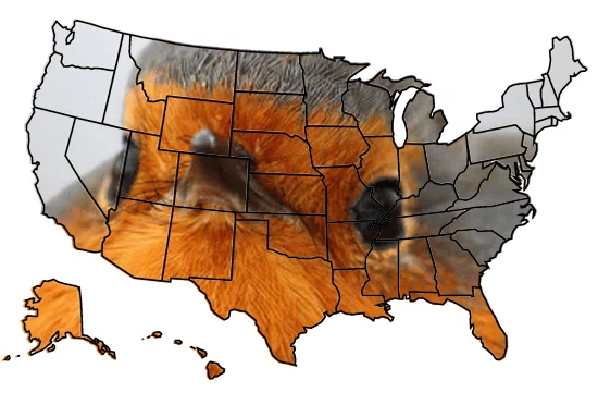 Map of the United States with regions shaded in orange, black, and gray, indicating varying levels of wildfire activity.