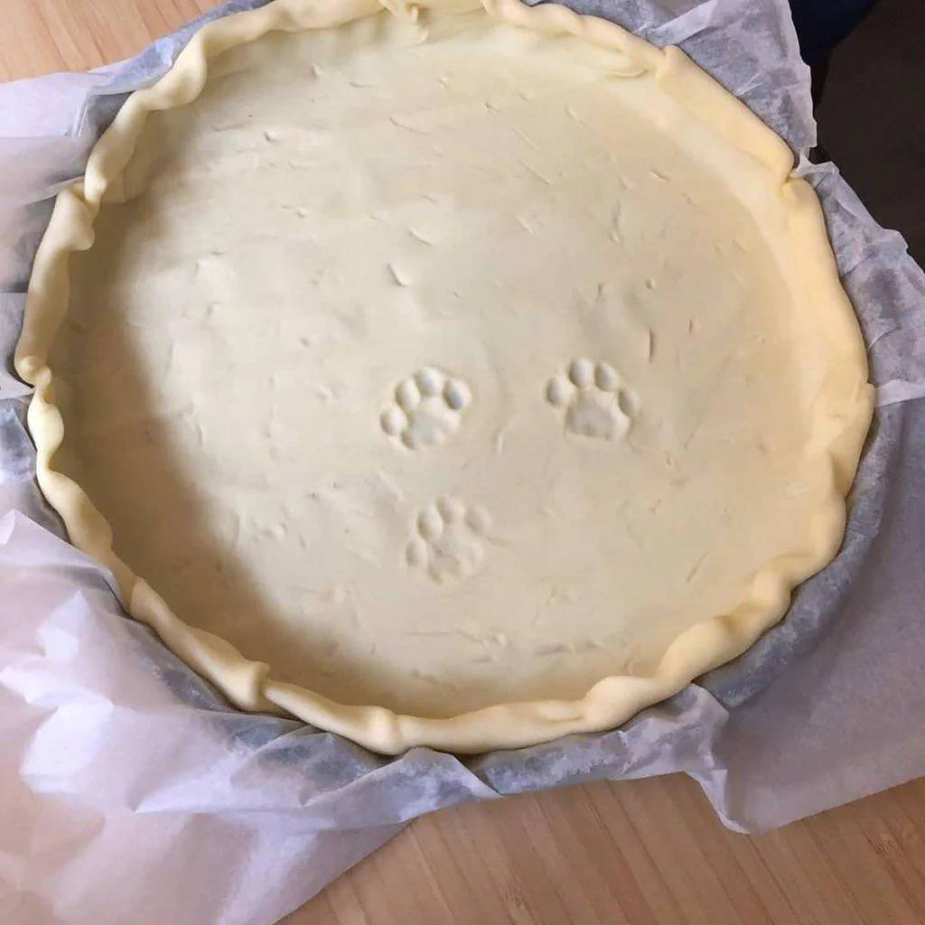 A pie crust with paw print impressions on the surface, set in a baking dish lined with parchment paper.