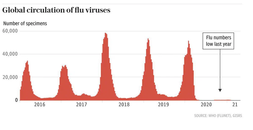 A graph showing the global circulation of flu viruses from 2015 to early 2020, with peaks occurring annually and a notable low last year.