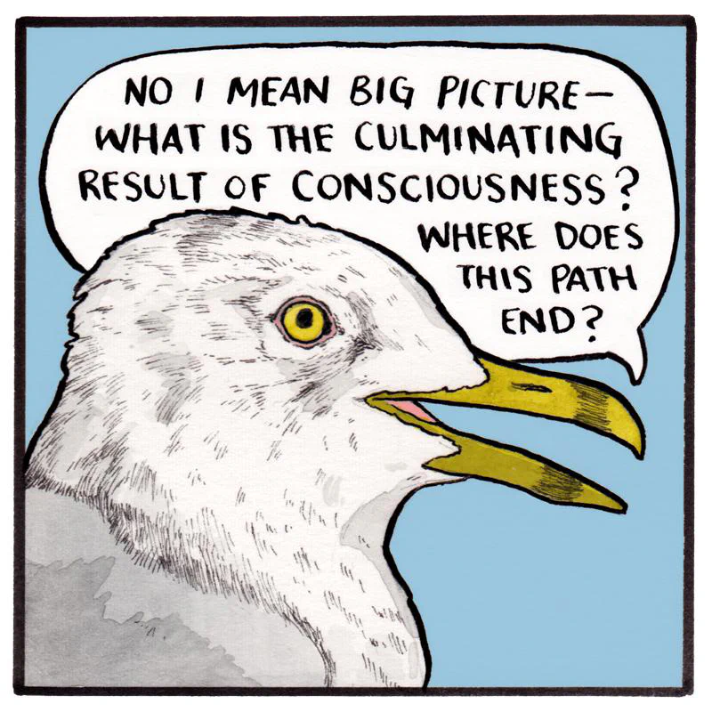 A drawing of a seagull with a speech bubble asking about the culmination of consciousness and the end of a path.