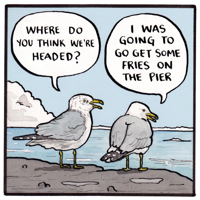 Two seagulls standing on rocks by the water, engaged in a conversation about their destination.