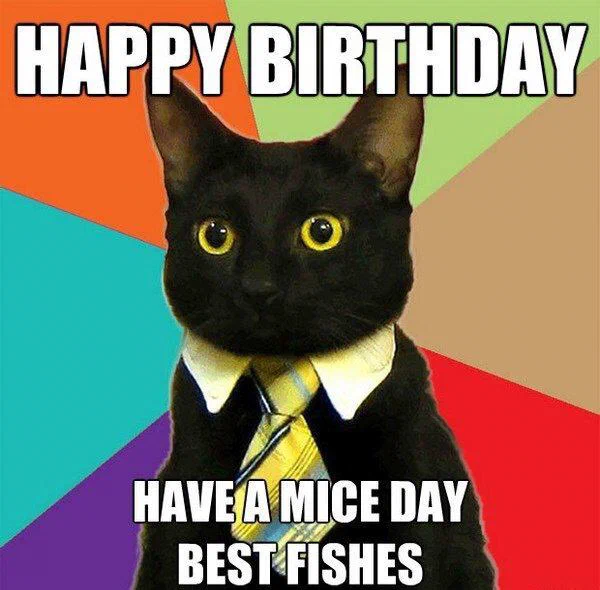 A black cat wearing a yellow tie and a white collar, with a colorful background, labeled with "HAPPY BIRTHDAY," "HAVE A MICE DAY," and "BEST FISHES."