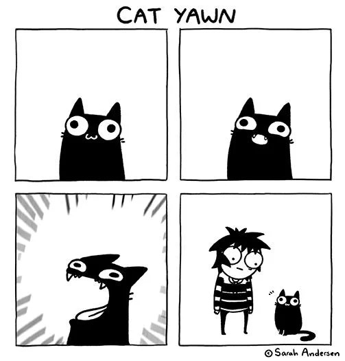 A comic strip titled "Cat Yawn" featuring four panels: the first panel shows a cute, wide-eyed black cat; the second panel depicts the same cat with a slightly open mouth, possibly yawning; the third panel presents a stylized, aggressive-looking black creature with sharp teeth and an open mouth; the fourth panel shows a person in glasses and a striped shirt standing next to the black cat.